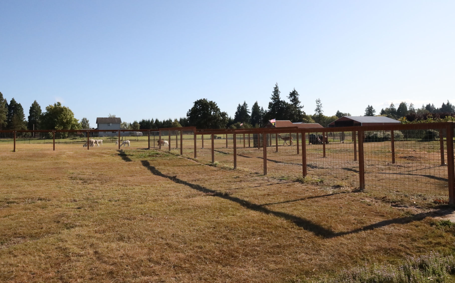 Pastures